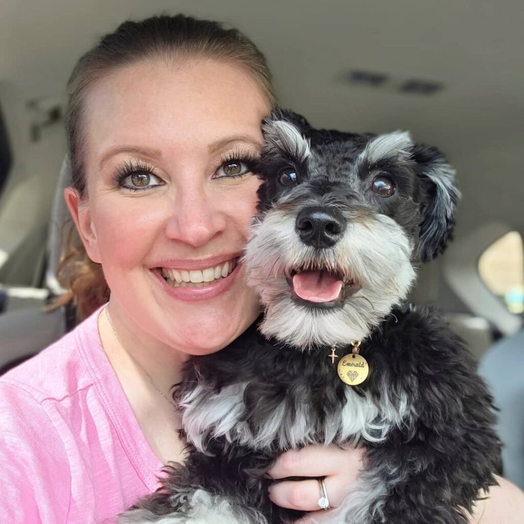 Are Schnauzers Hypoallergenic